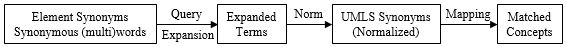 UMLS Concept Mapping Pipeline